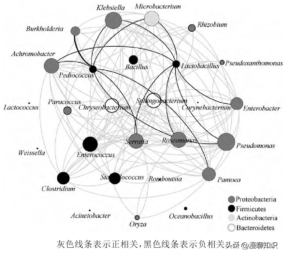 安康鲊广椒细菌是什么？关于它菌群多样性、功能及相关性分析