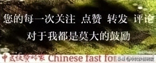 传统快餐与自选快餐：优缺点对比和个人偏好