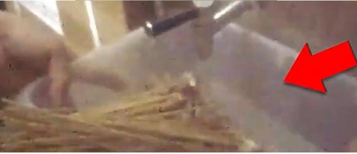 中公教育回应88.8万定制课,中公教育直播免费课程