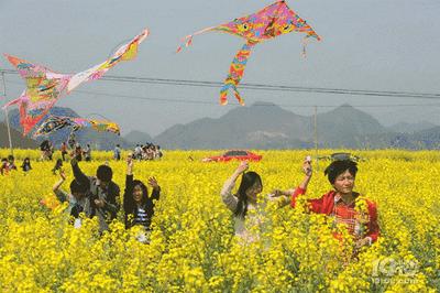 春分节气趣味民俗你了解多少,春分节气的特点和风俗文字