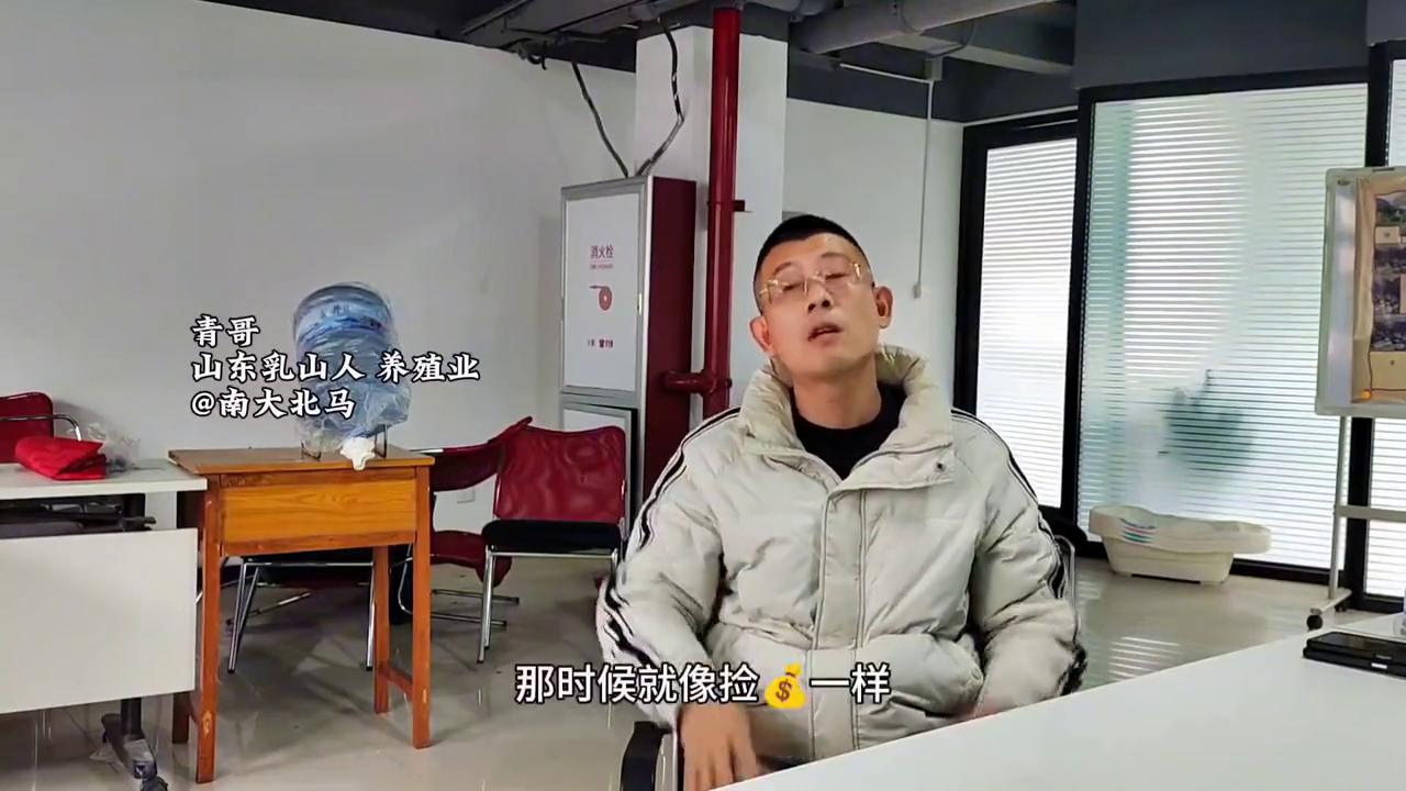 青哥养猪,青哥养豪猪