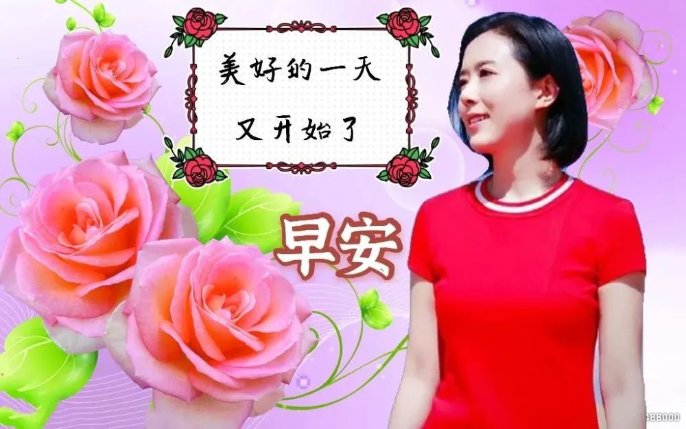 早安心语温馨句子正能量励志图片,新的开始早安励志语录正能量图片