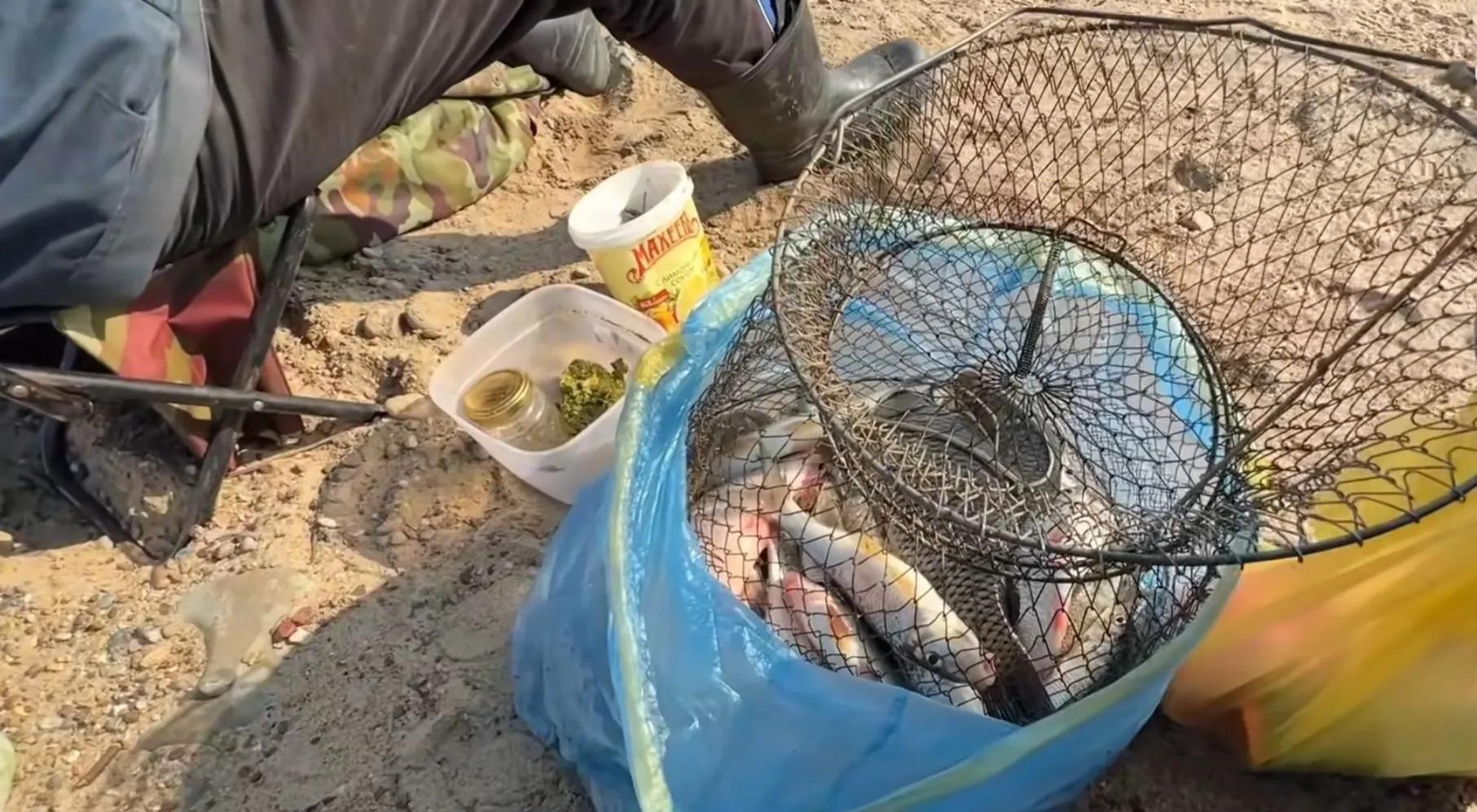 入境俄罗斯需要签证吗,入境俄罗斯需要检查回程机票吗