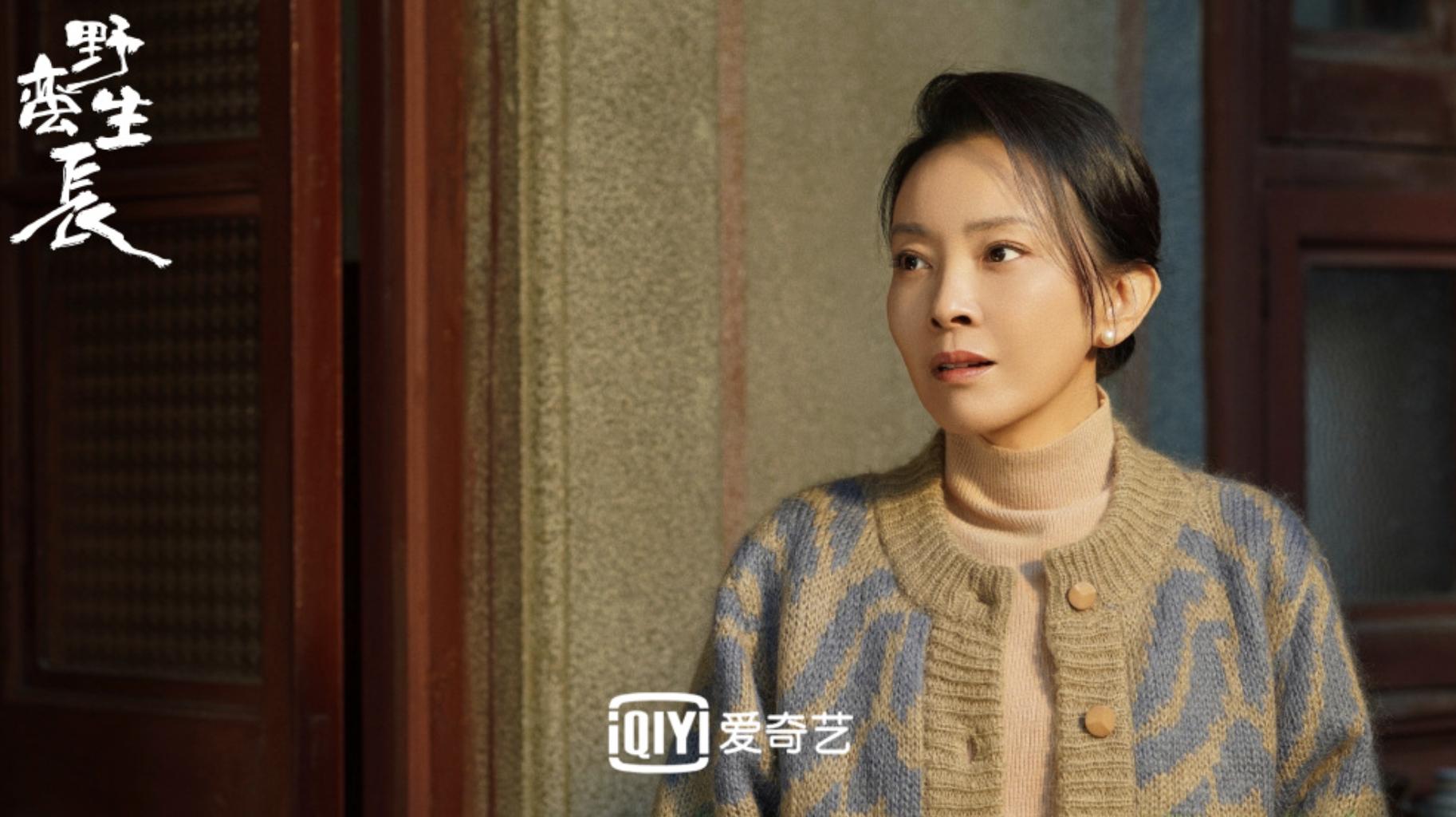 赵丽颖明年新剧,赵丽颖新剧野蛮生长定档