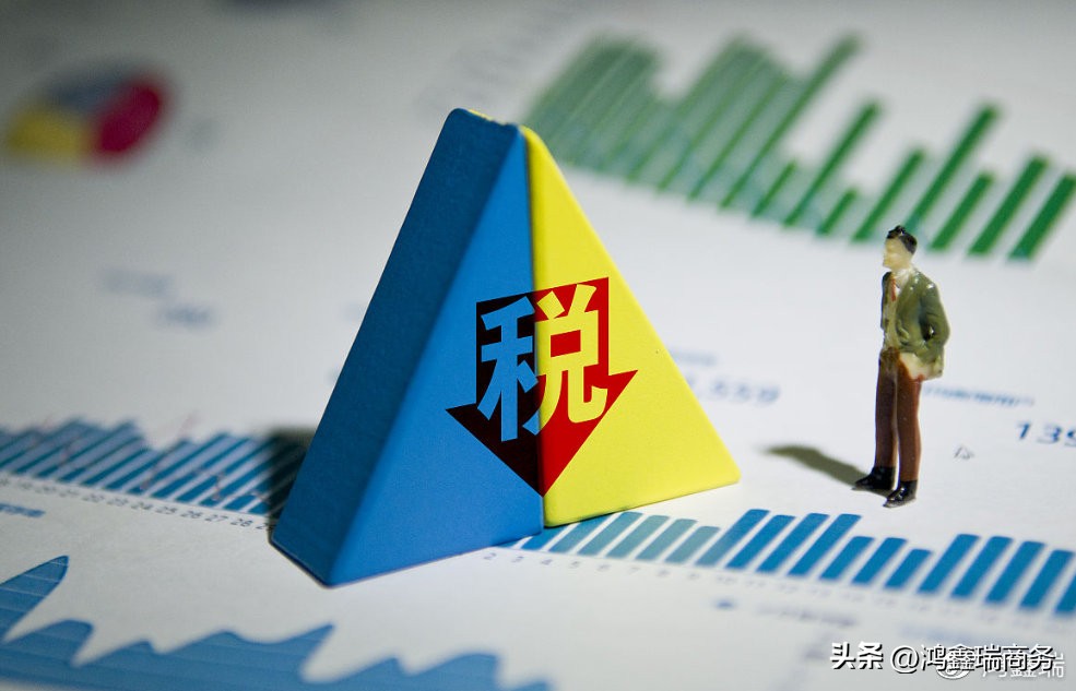 法国税务体系,法国个人税收一览表