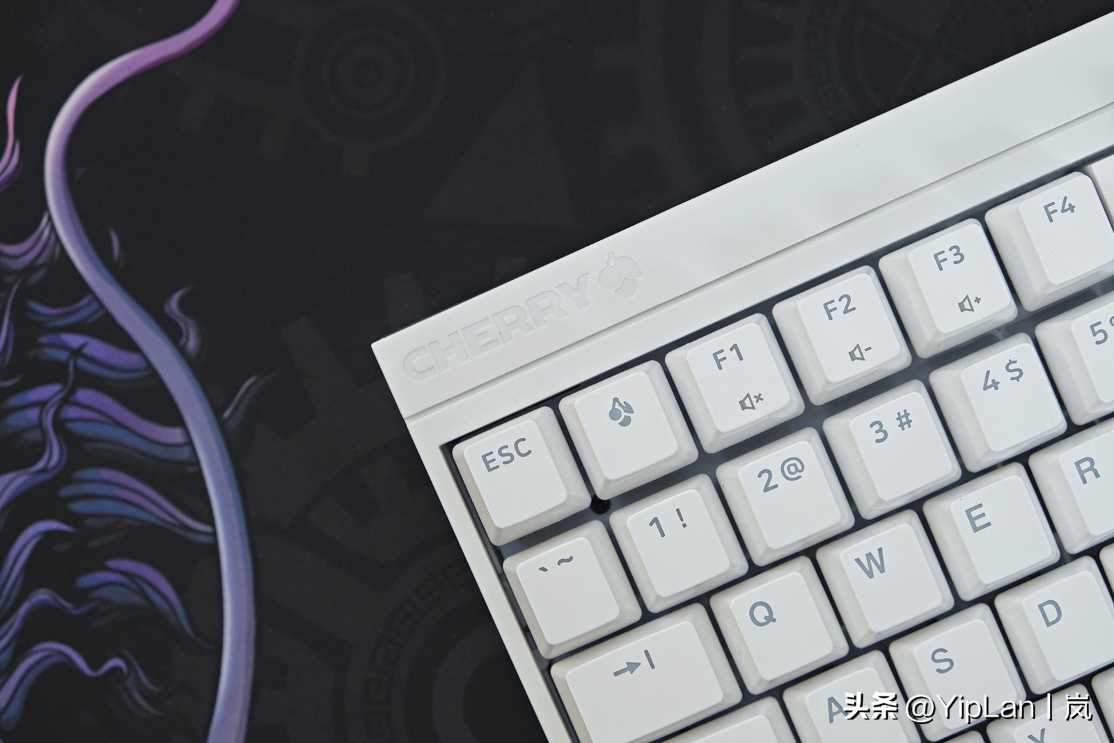 cherry澶栬鎺ㄨ崘,cherry澶栬鍜嬫牱