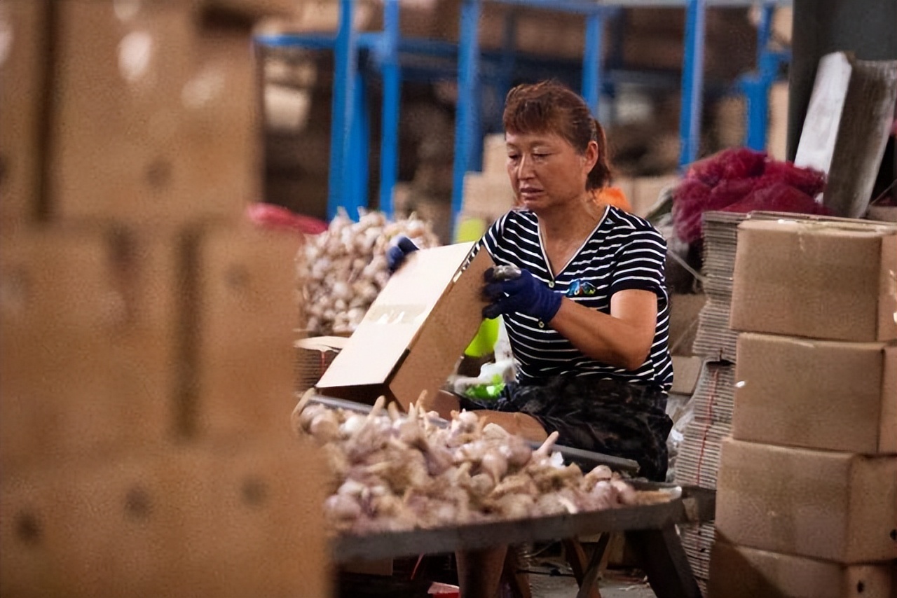 电商助力金乡人，打得一手好“蒜”盘