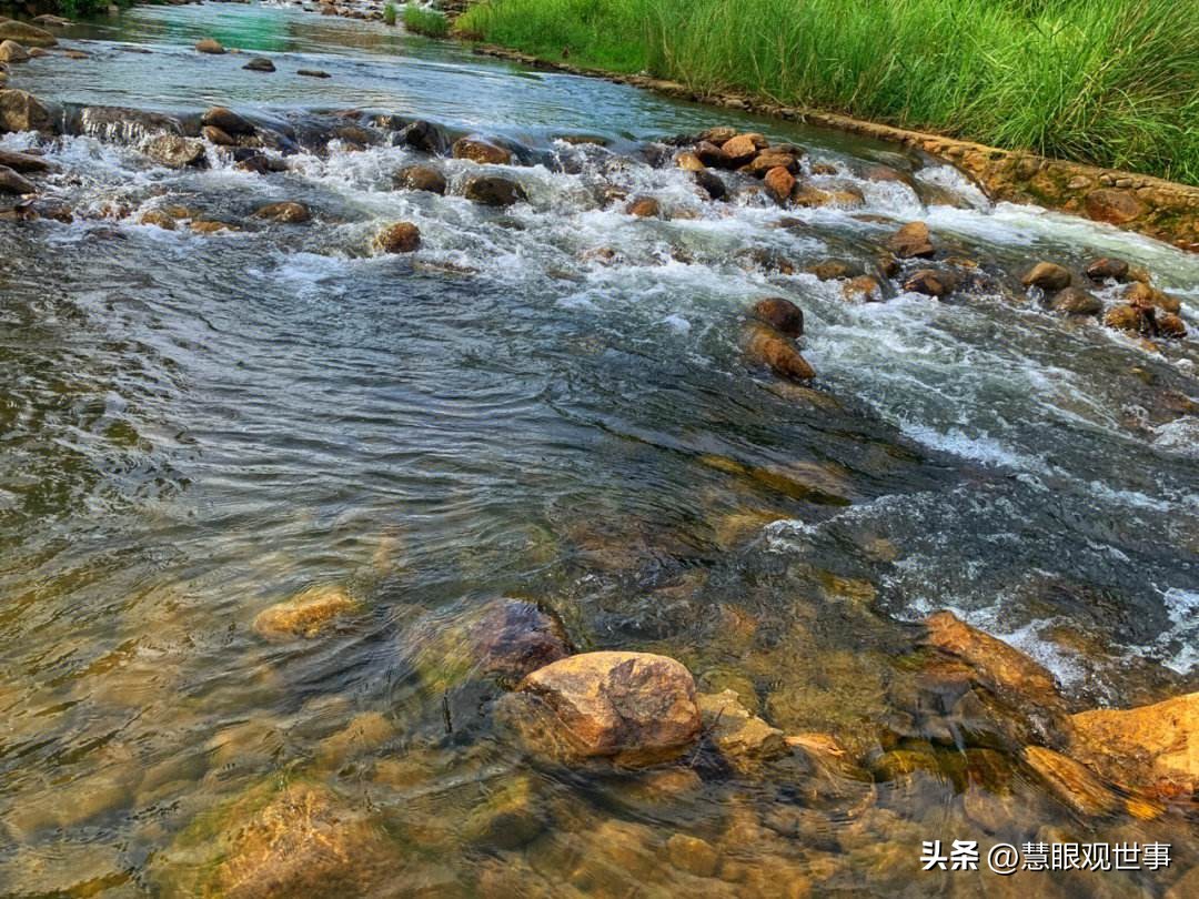 语文古诗词必背大全,古诗词考试必背诗句