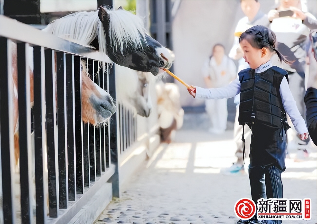 乌鲁木齐宜居实至名归,乌鲁木齐是一个让我们安心的城市
