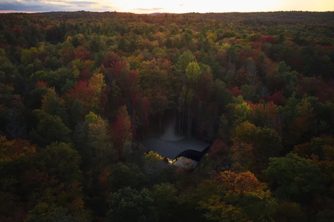 他们把家搬到了森林里，一间森林