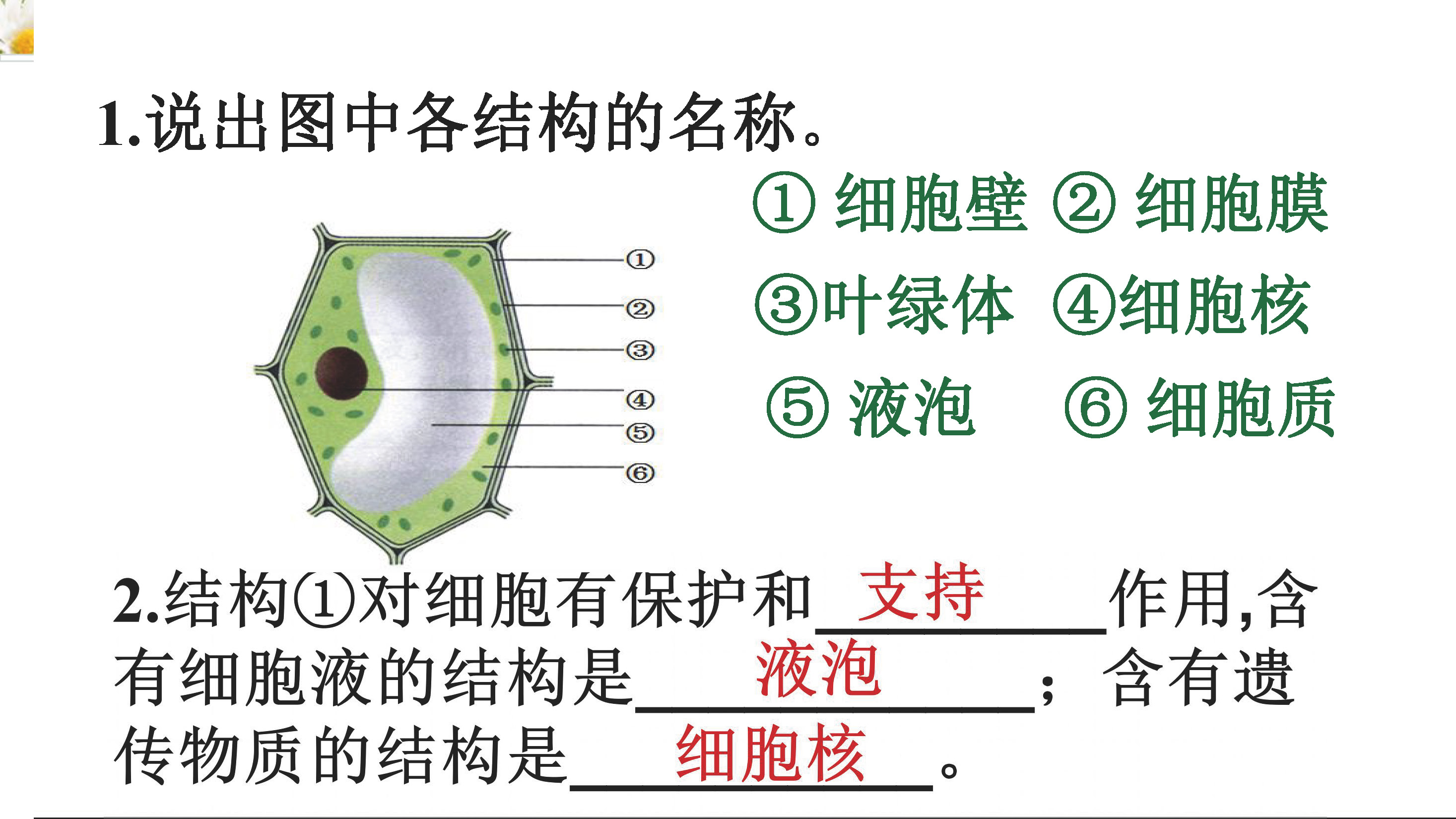 小升初一到六年级复习资料,小升初所有课本