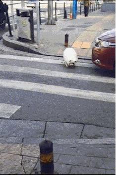 现在生意都难做的高情商回复,最近生意太好了高情商回复