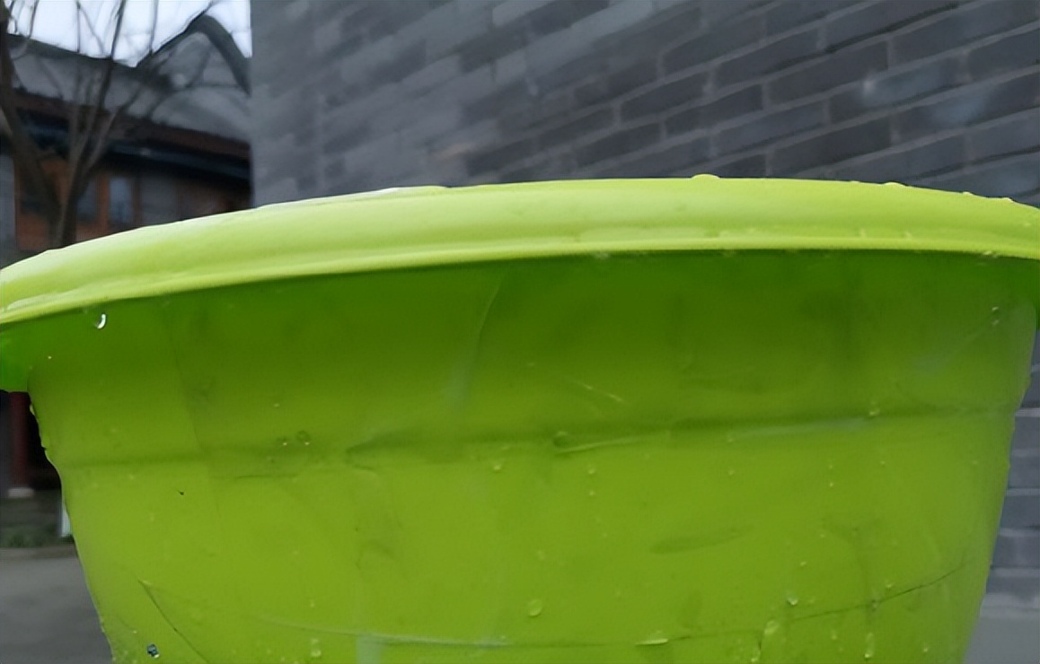 “蜻蜓水上漂”轻功重出江湖了？重庆小伙吸粉百万，老外又懵了