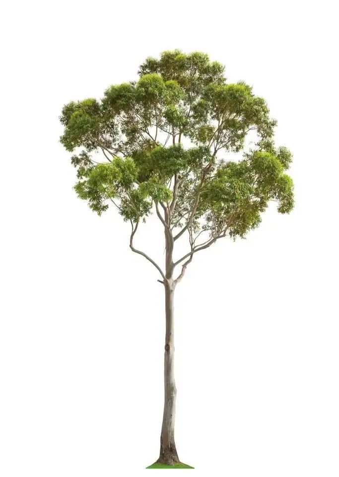 北仑疫情还回得了家吗,北仑疫情出不去了么