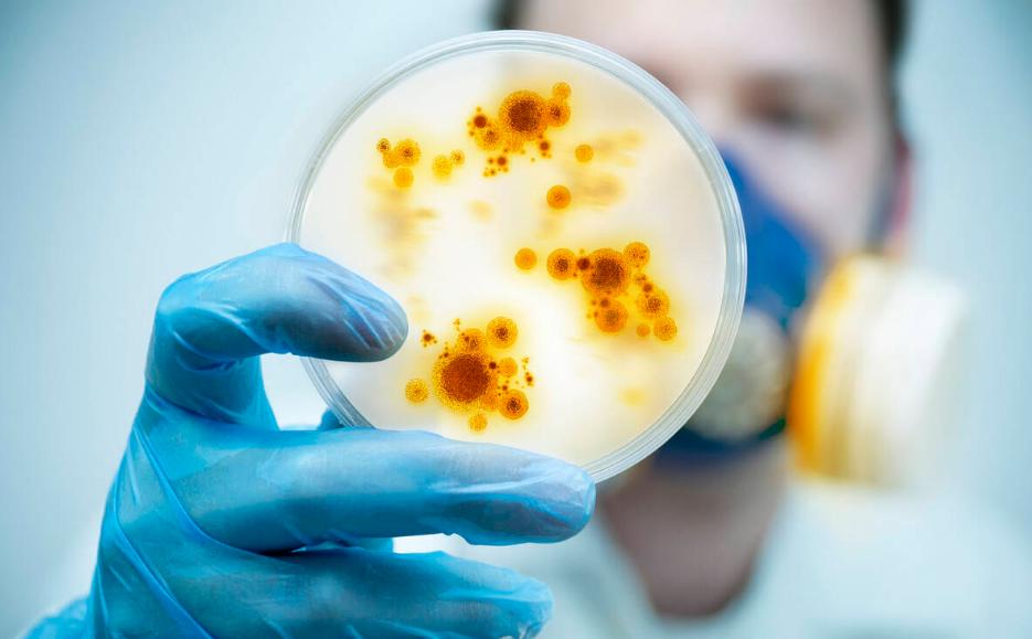 阿莫西林和消炎药有什么区别,阿莫西林是非类固醇消炎药吗