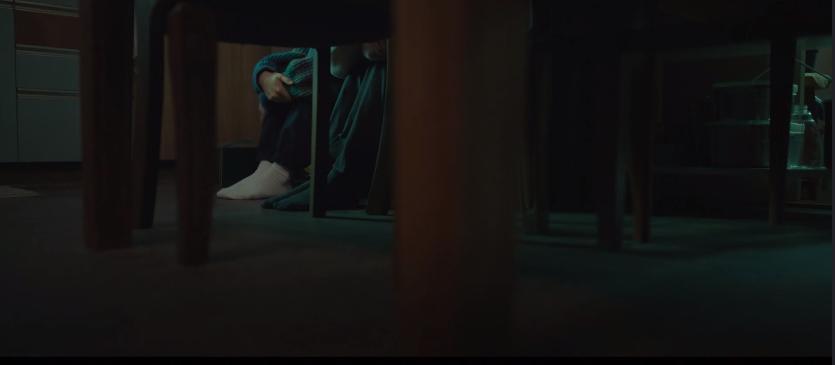 顶级配置拍女版《寄生虫》？欲望冲出屏幕，人性丑恶獠牙藏不住了