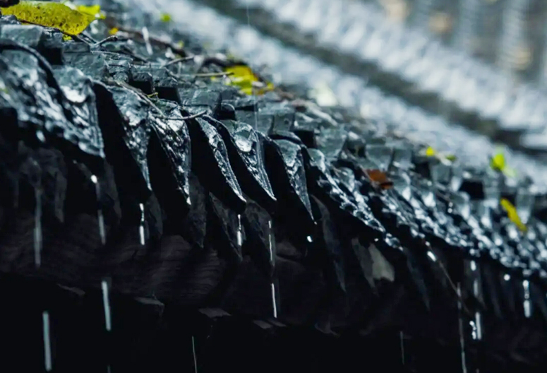 2023是千年一遇的黑兔年吗,2023年是不是黑兔年要注意些什么