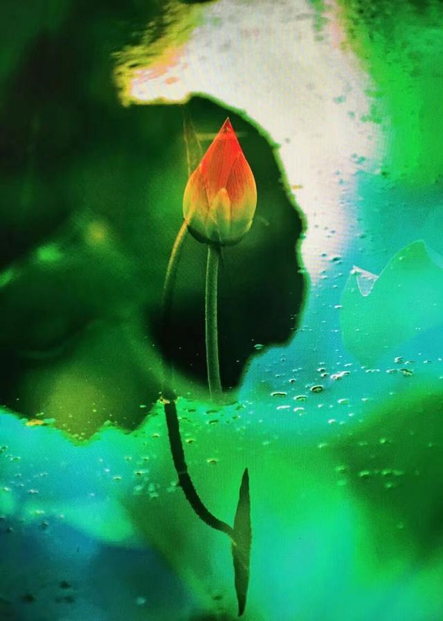 “不问东西”在东西方艺术体系里自由穿行者——记画家曾邕生