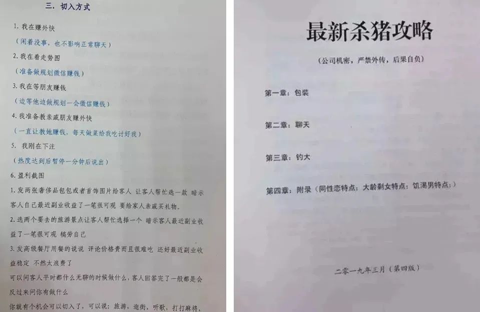 怀孕两月女子被骗到缅甸，她为何不怕被噶腰子？