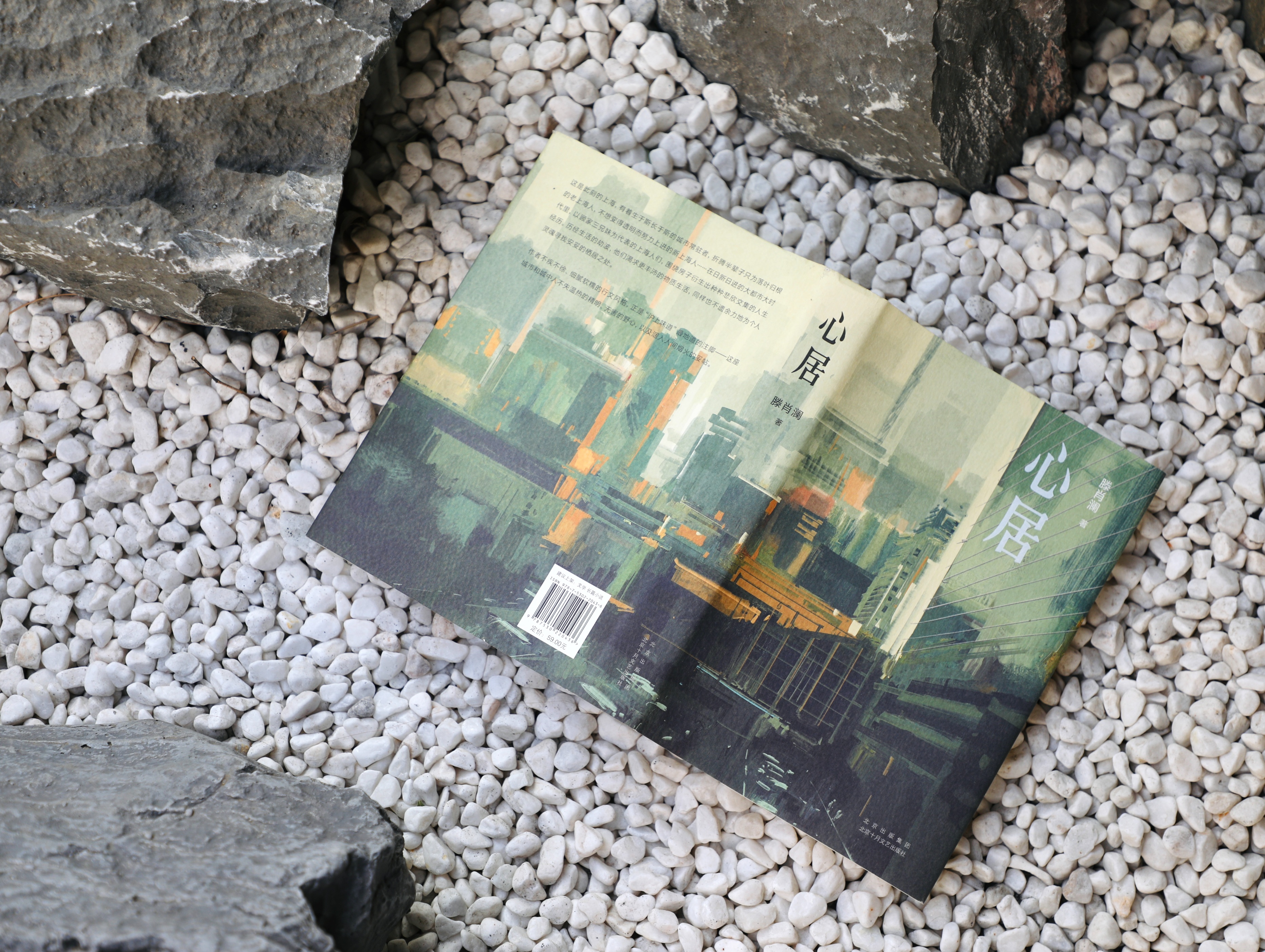 《心居》：每个人都在艰难而又孜孜不倦地活着。痛并快乐着。