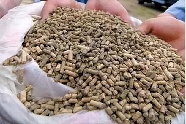 饲料中霉菌毒素对猪有什么危害,饲料毒素对猪的危害