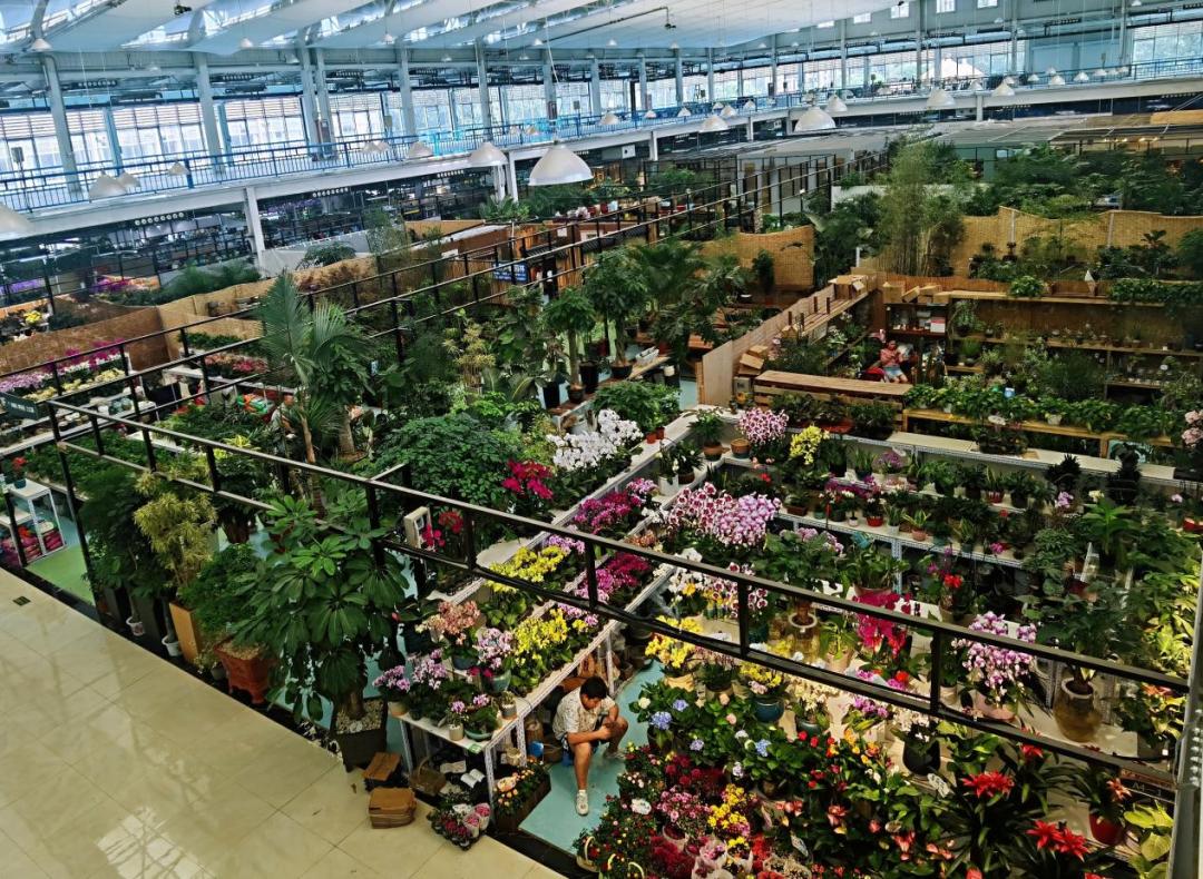 保姆级京圈花市攻略来袭，能解答你关于买花99%的问题