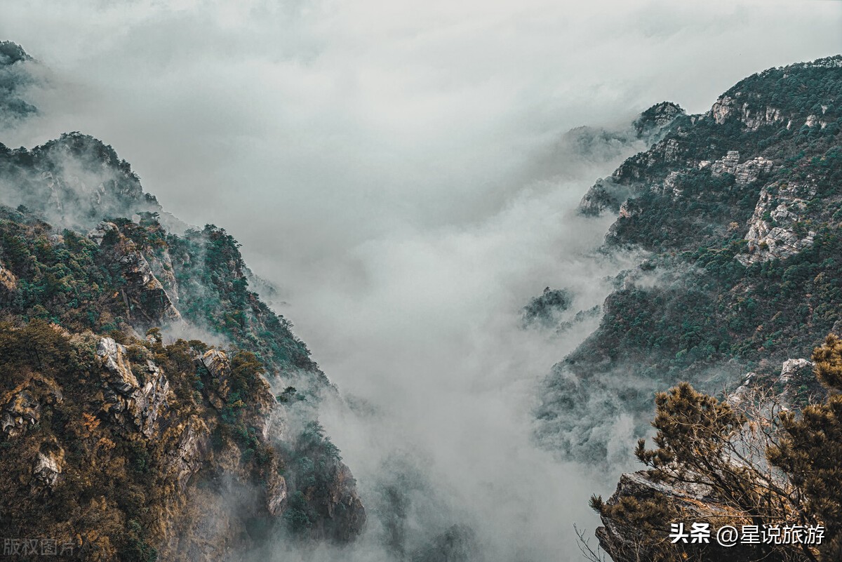 跟着唐诗去旅行100首,跟着唐诗去旅行讲的五首古诗