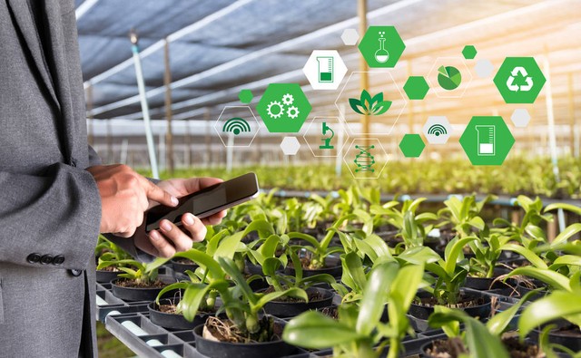 如何通过政策支持农业可持续发展,农业可持续性发展的理论与实践