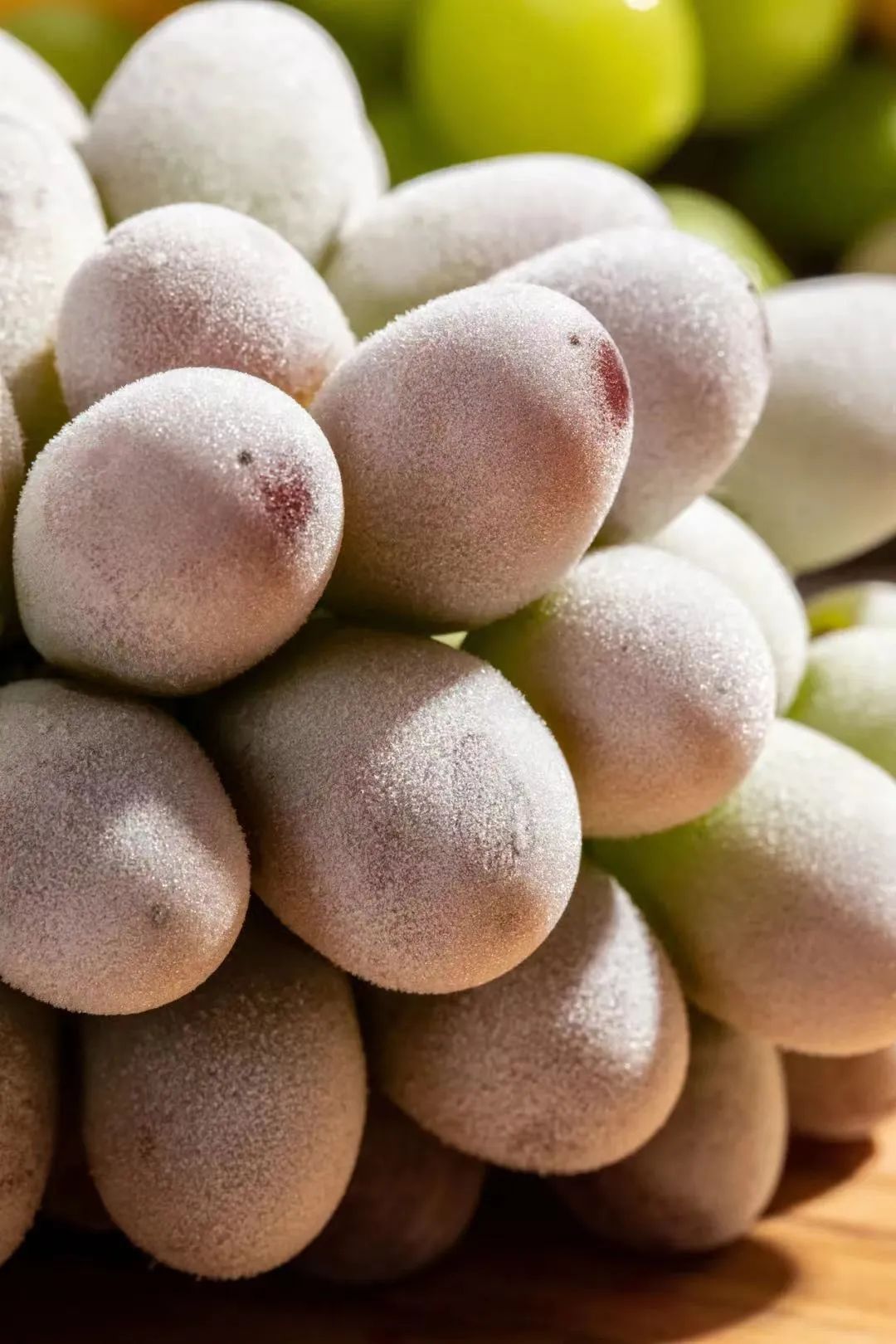 各地水果奇葩吃法大赏,最奇葩的几种水果吃法大全图解