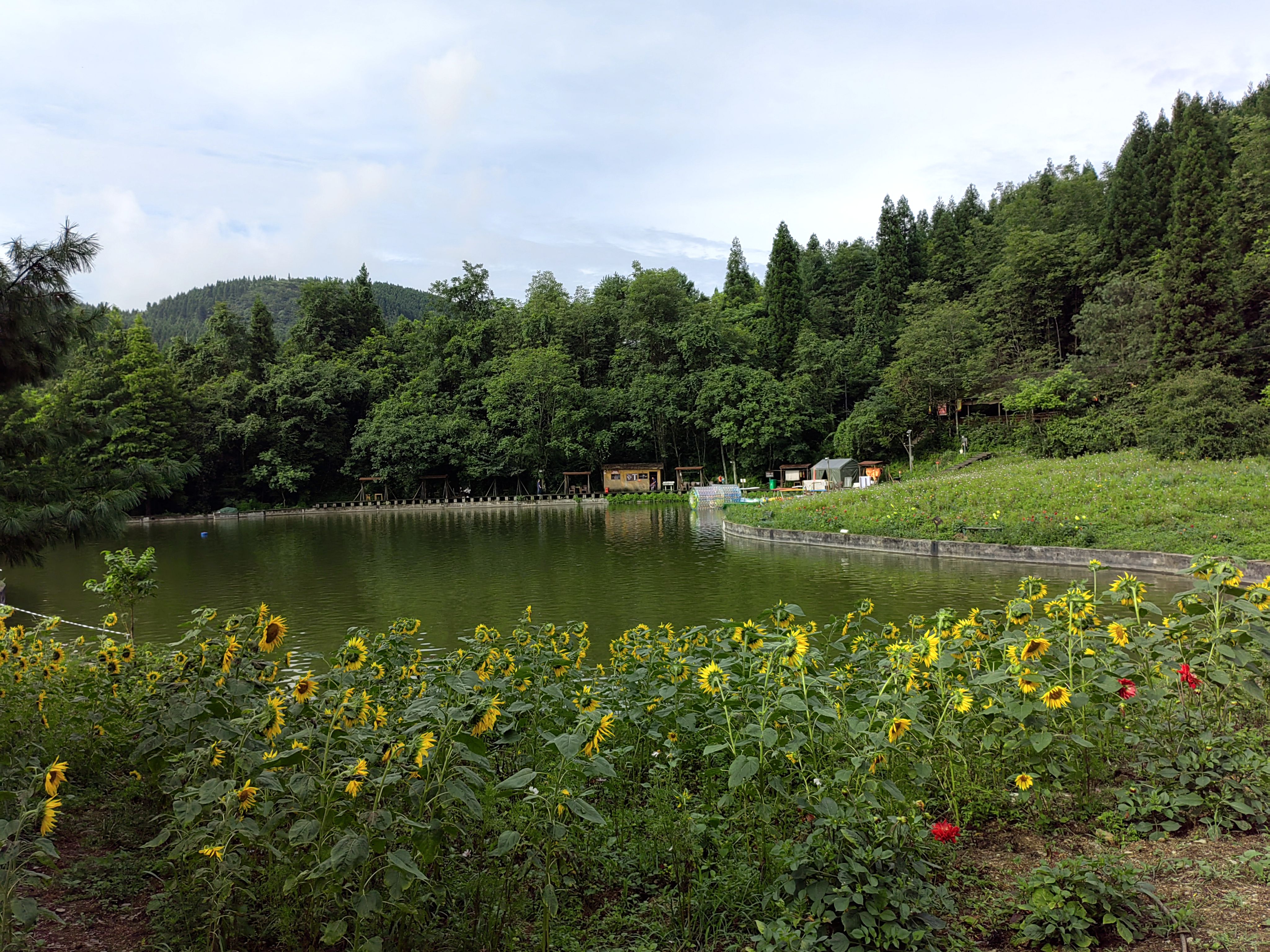 武陵山森林公园罗汉,武陵山国家森林公园看猴子