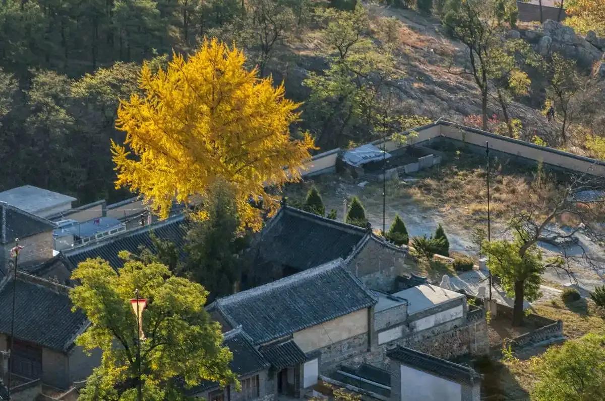 丹东附近的避暑好地方,丹东出去避暑自驾游3-4天最佳路线