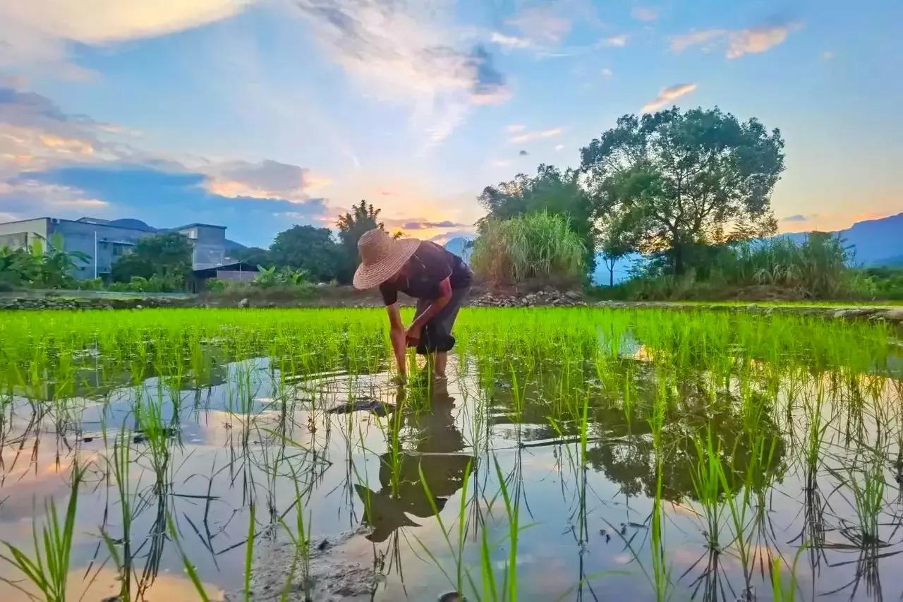 雄狮少年年度最大黑马,雄狮少年咸鱼强上阵