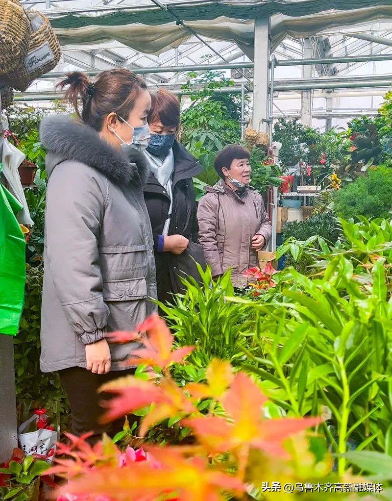 【共有一座城共爱一个家】在乌鲁木齐市植物园里踏青赏花寻春色
