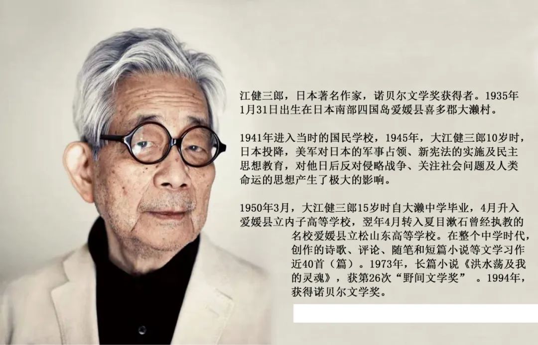 诺贝尔文学奖作家作品总结,诺贝尔文学奖作品