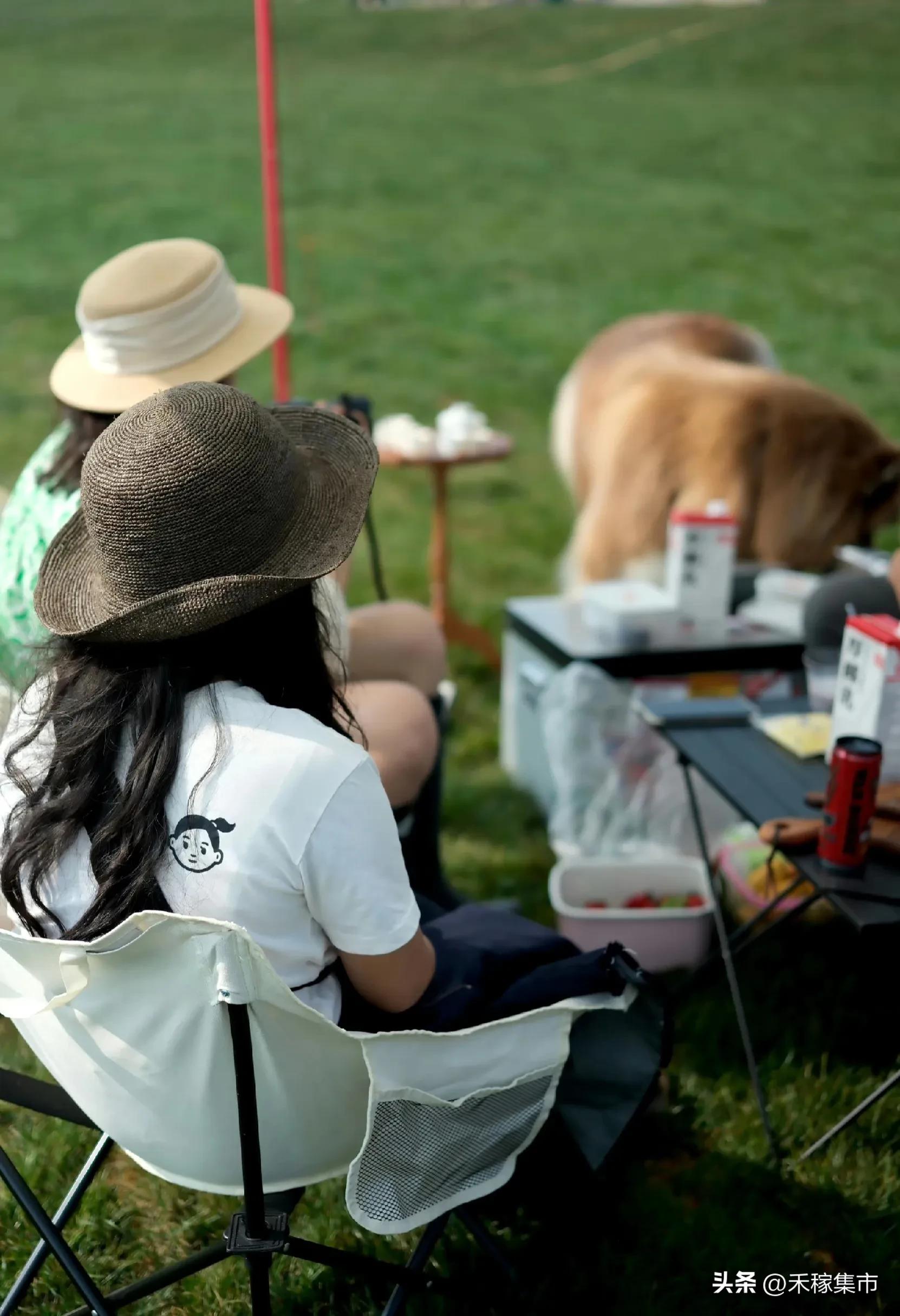 为特别的相会而来【中译英】