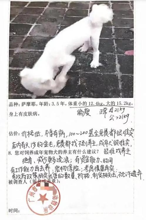 夫妻救助两条弃犬被控盗窃罪,救助2只狗被判盗窃