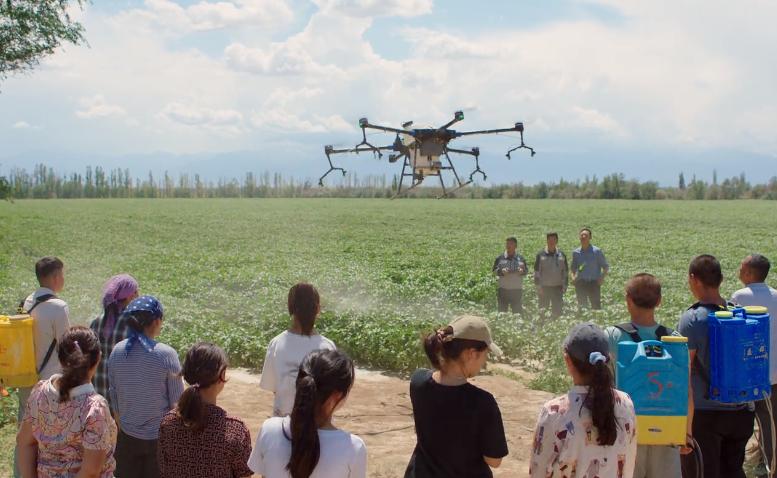 我们这十年之热爱是多少集,我们的十年之热爱免费观看