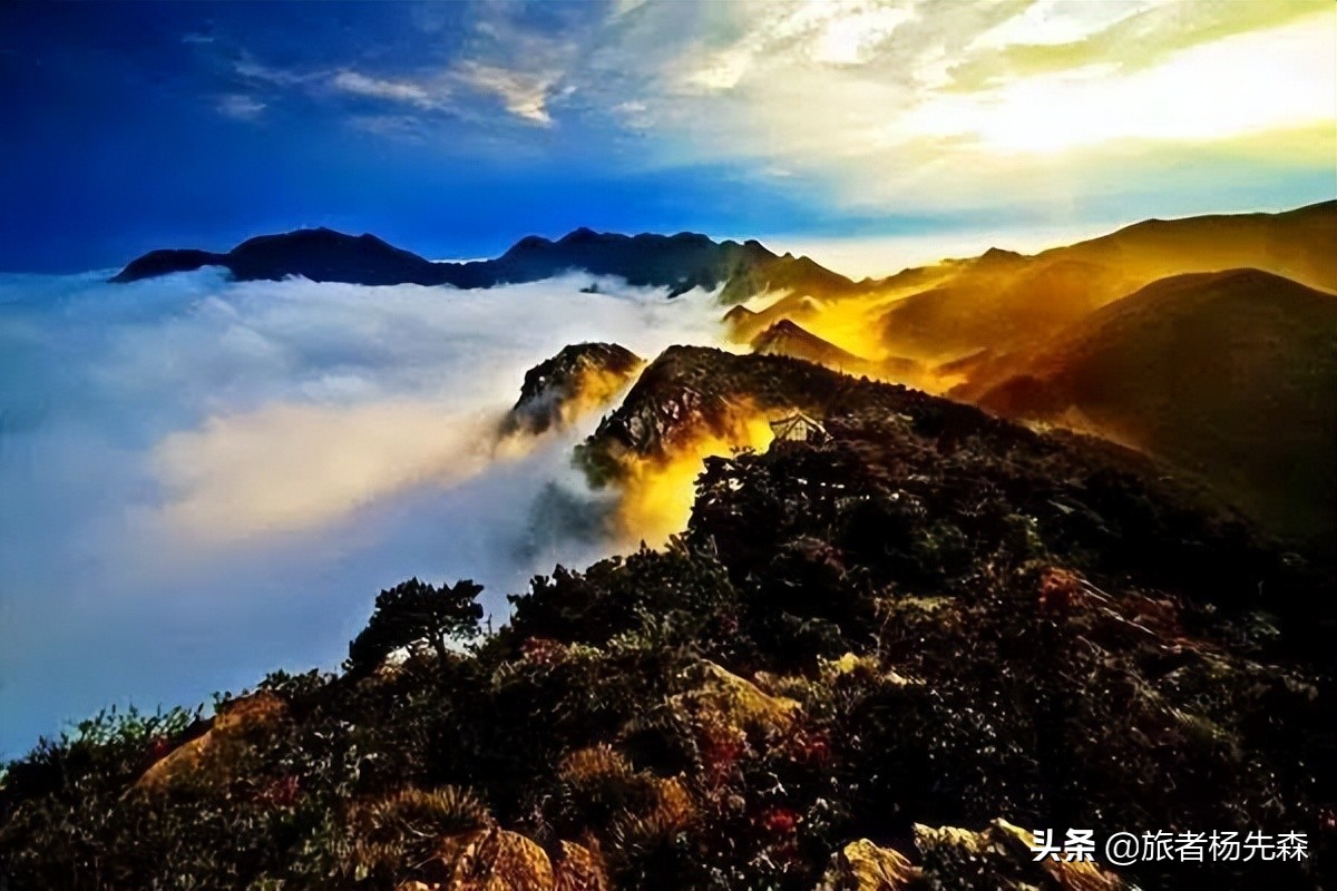 今年下半年去张家界旅行免门票吗,全国65岁免门票景区省份