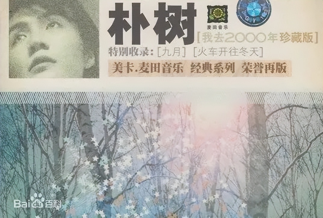 朴树有多低调,男明星朴树