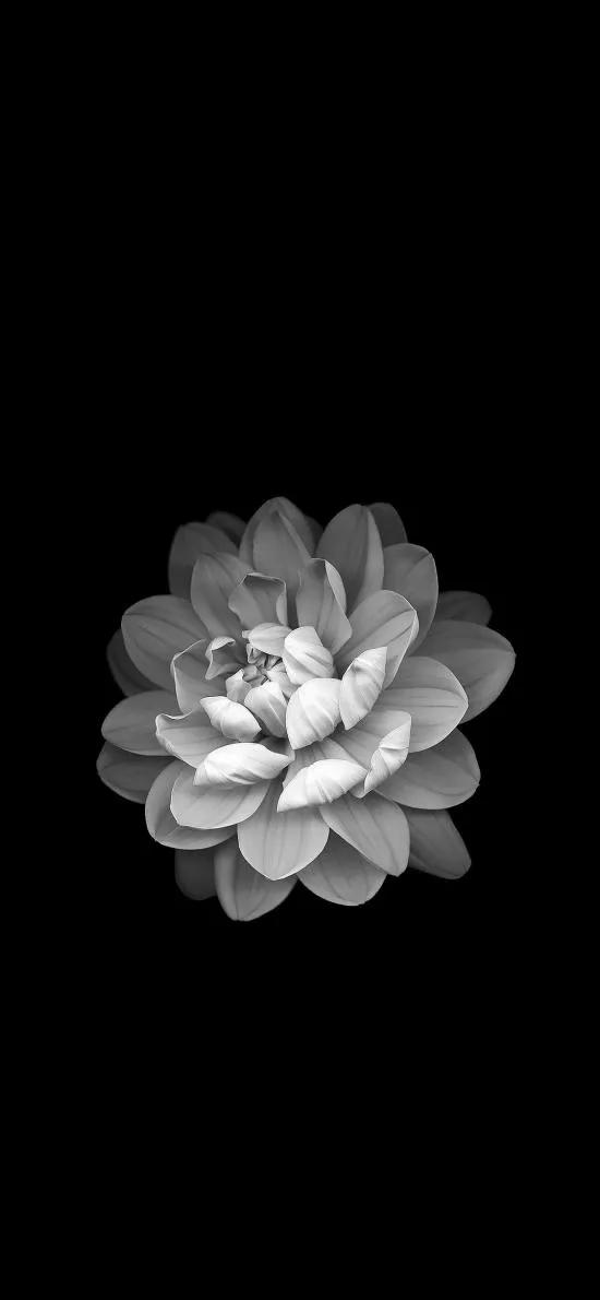 黑暗系壁纸黑底文字,黑暗色系的壁纸