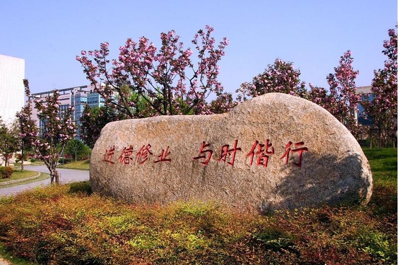 浙江财经大学和上海财经大学比较,浙江财经大学发展怎么样