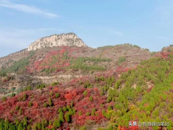 济南红叶谷最新视频,济南红叶谷免票政策