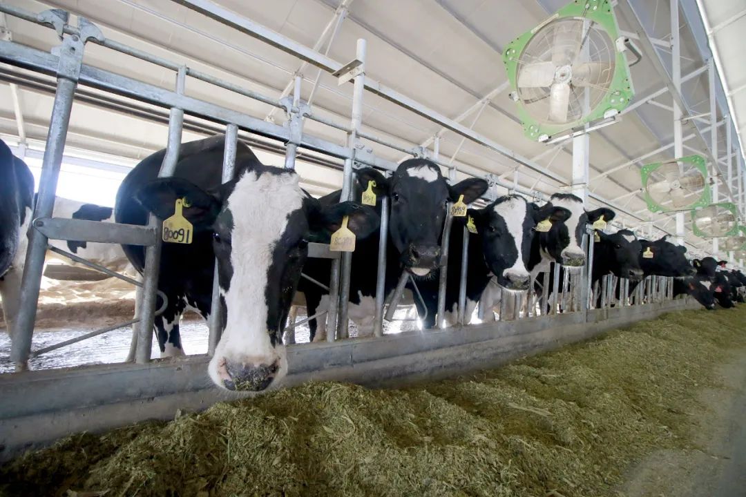 母婴店跟超市奶粉差一半价格,母婴店的奶粉敢不敢买