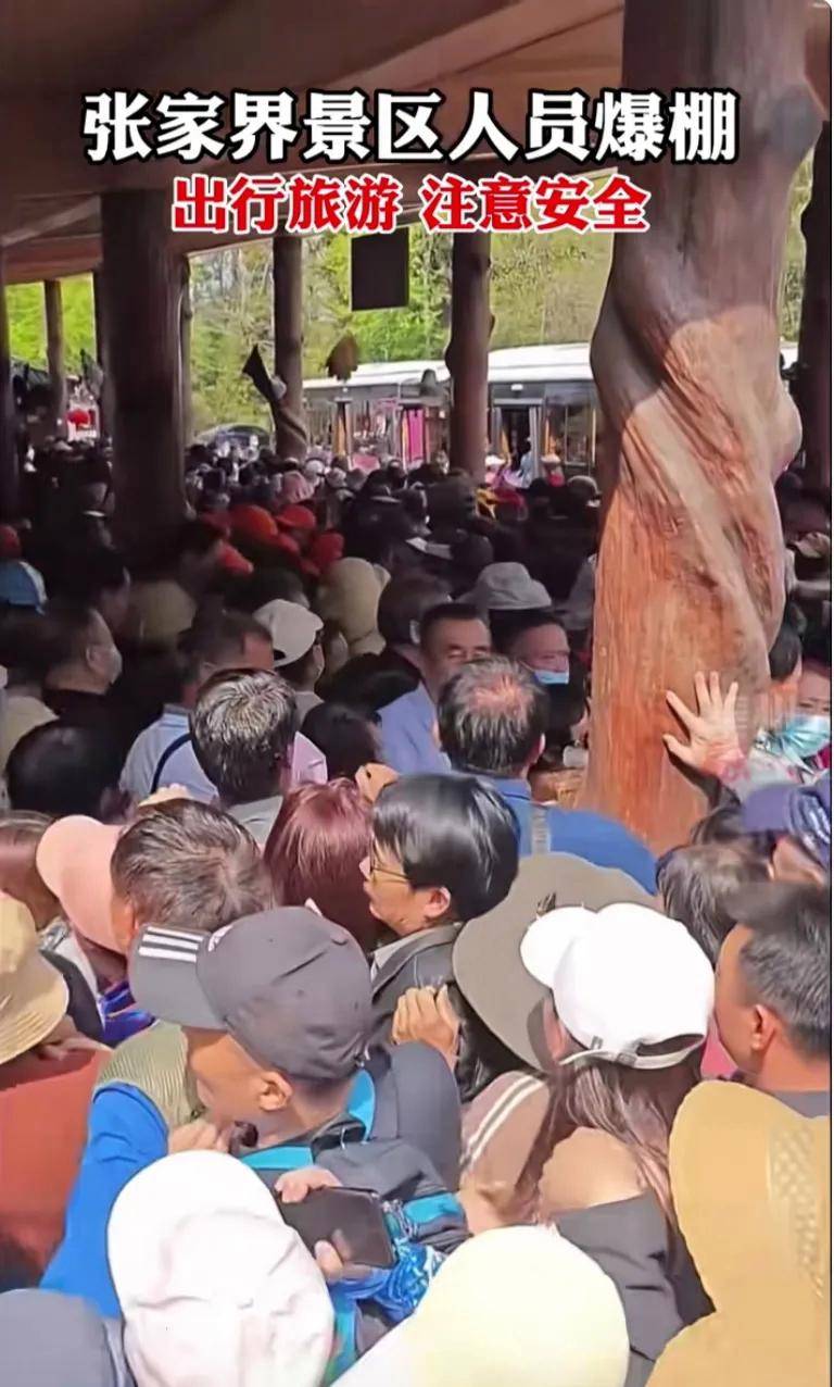 这是平民旅游的胜利：5*级A**景区干不过一个菜市场