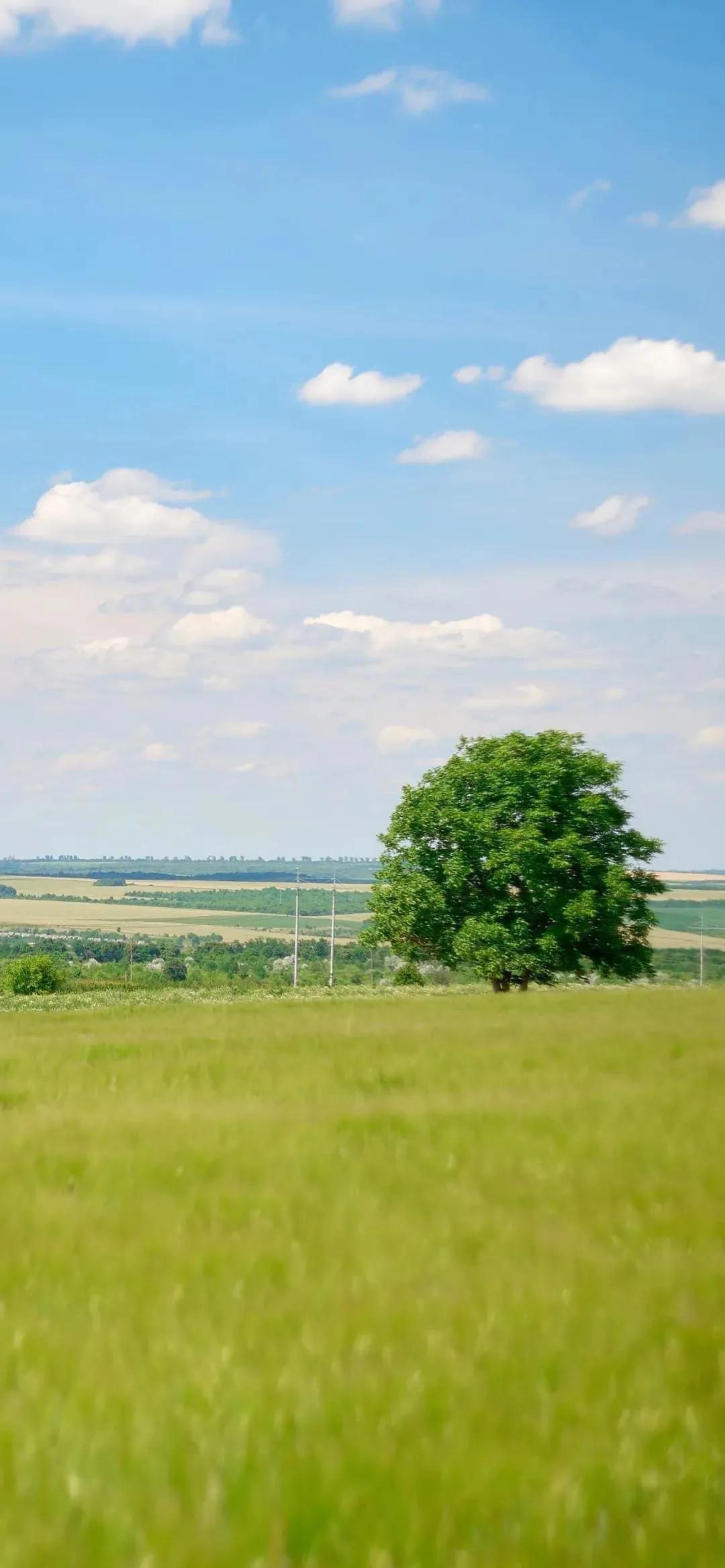 唯美壁纸图集可保存伤感,念念不忘的高清壁纸