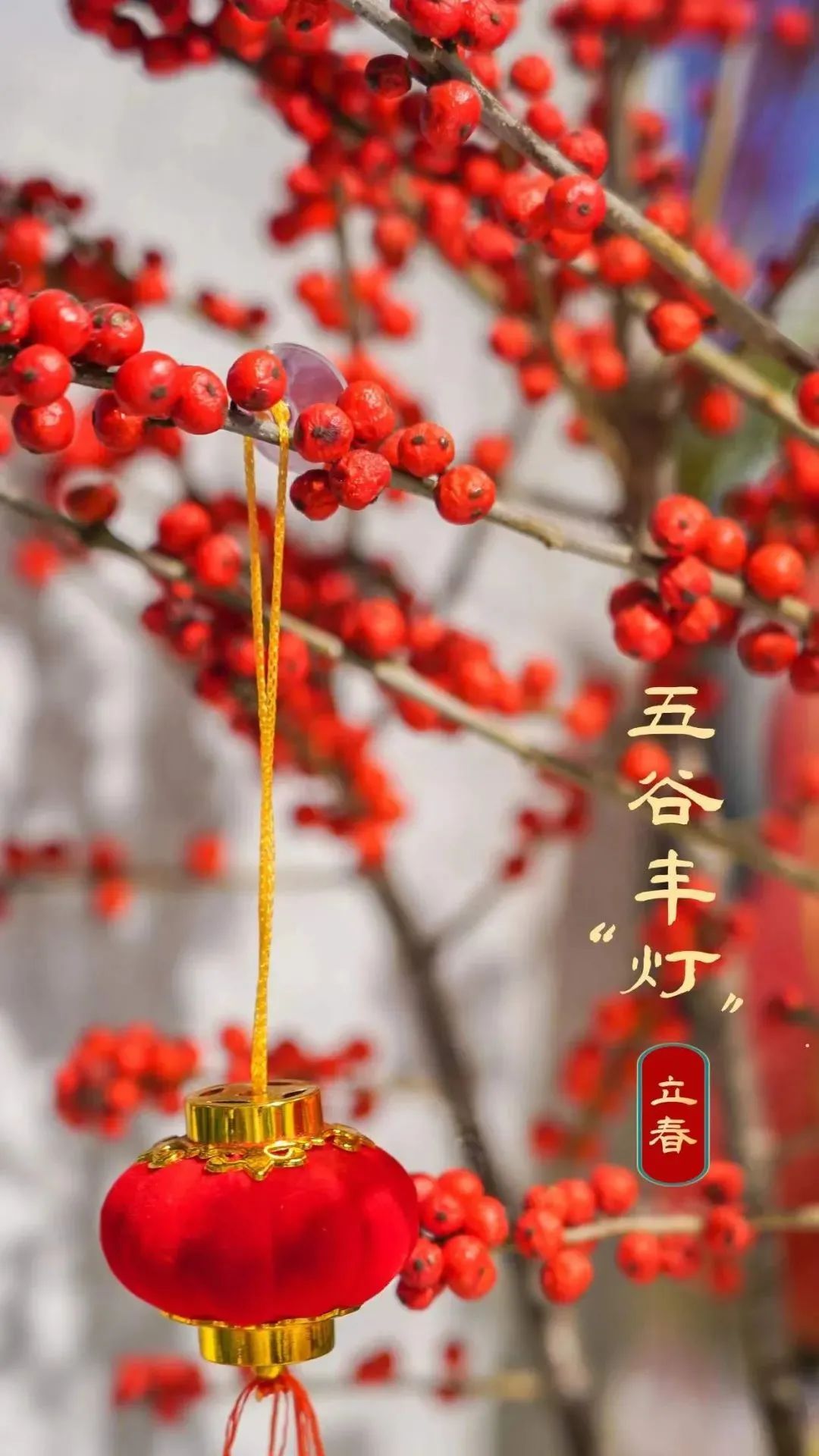 武汉惠民鲜花券领取时间,武汉鲜花优惠券