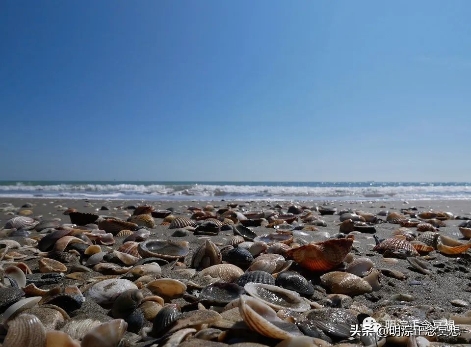 所有的经历都是价值,经历都是有价值的