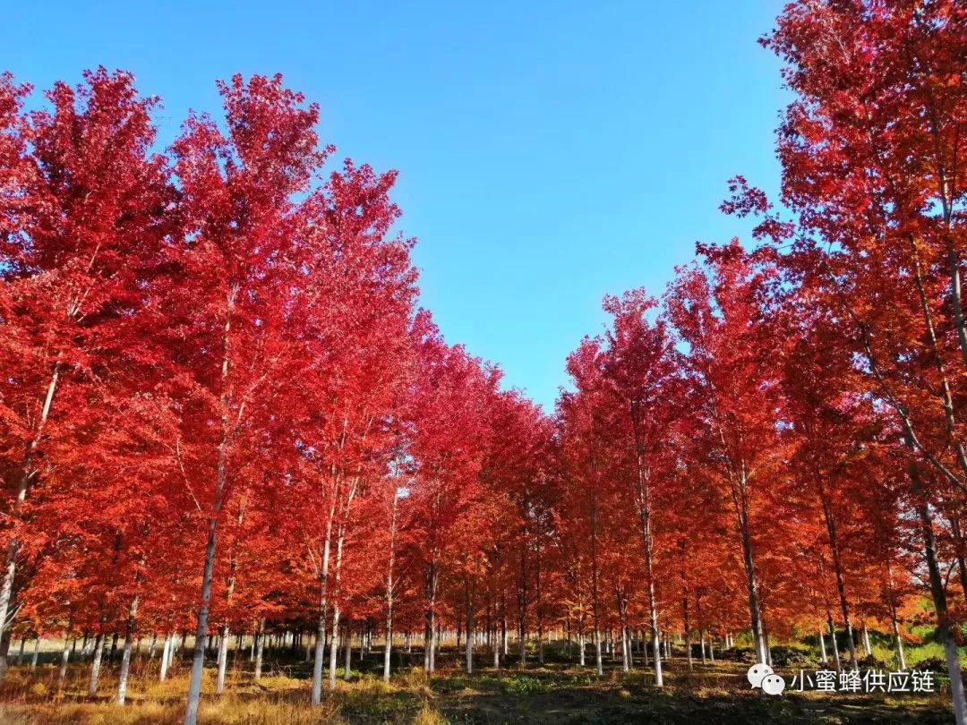 降低中小企业的经营成本,降低企业成本减轻企业负担