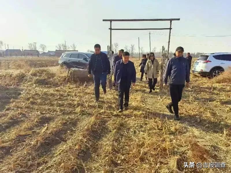 保寿镇大谢村,大谢村企业党员捐款10万元