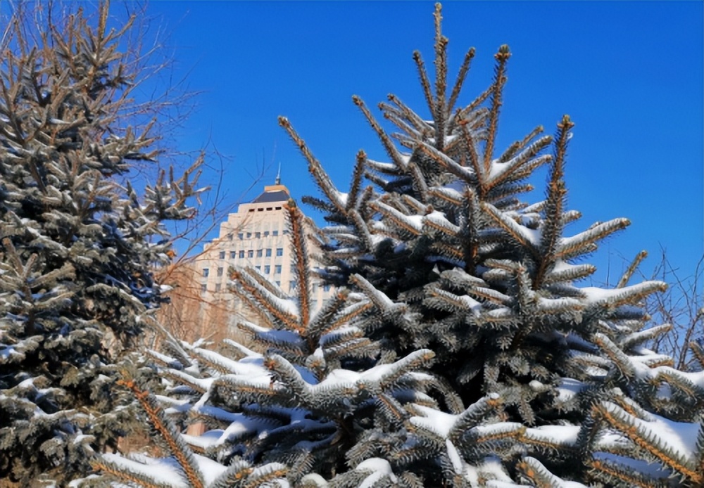 坦克300雪地驾驶用什么模式,坦克300雪地测试